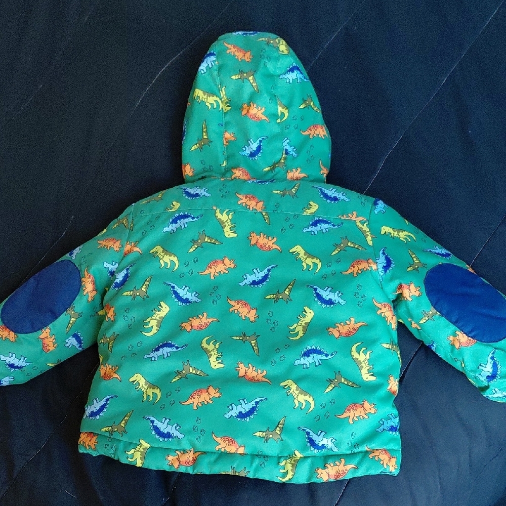 Green Dinosaur Print Hooded Jacket - Picture 5 of 6